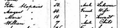 1864 Passenger List Detail - Hopkins.jpg