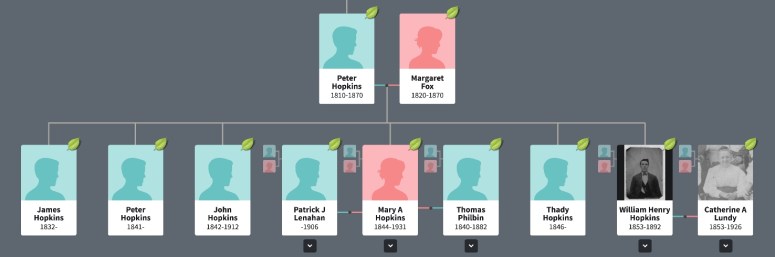 Hopkins Ireland Siblings Tree 1.jpeg