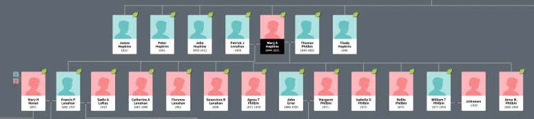 Hopkins Ireland Siblings Tree.jpeg